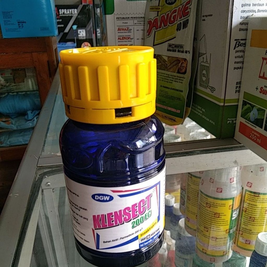 insektisida DGW KLENSECT 200ML