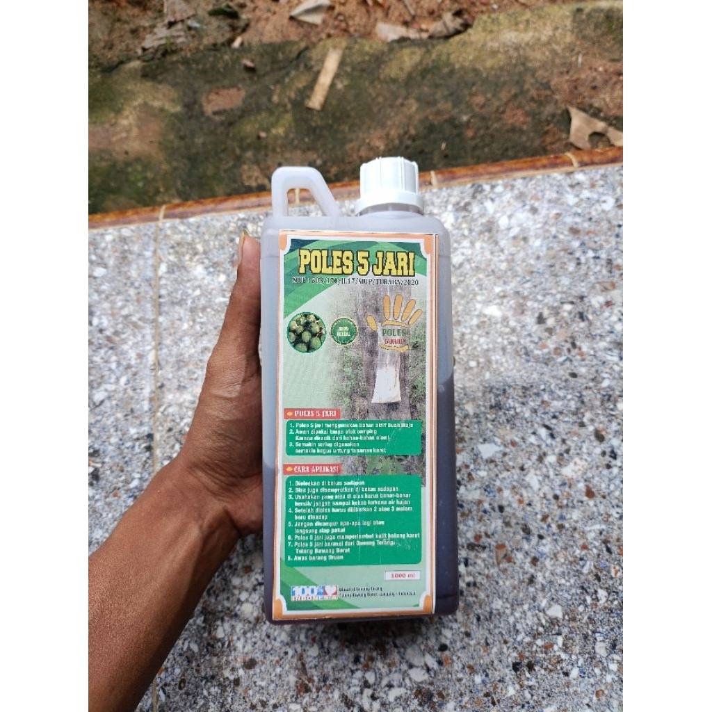 pupuk POC poles 5 jari untuk memperbanyak produksi getah karet
