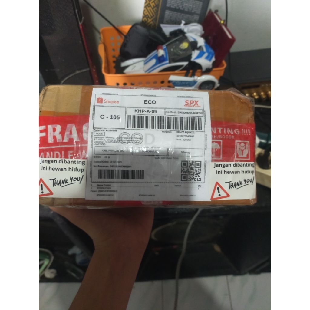 misteri.box.ikan
