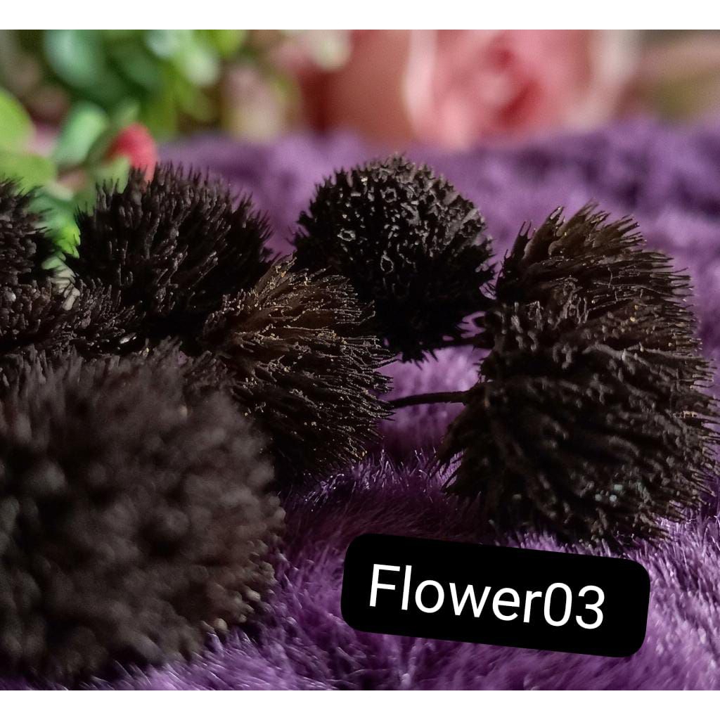 Bunga Kering Pom pom Aesthetic Tanpa Batang