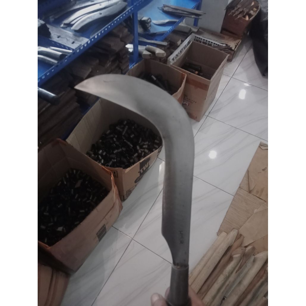 candung salak