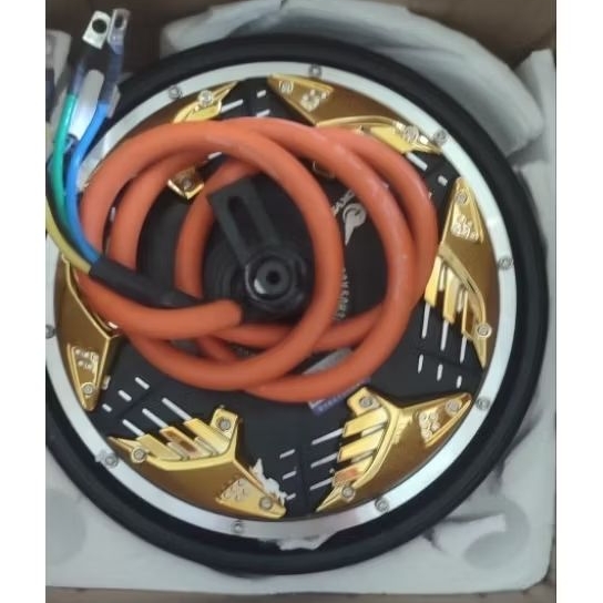 Dinamo bldc 10" 2000w 3000w DKYS