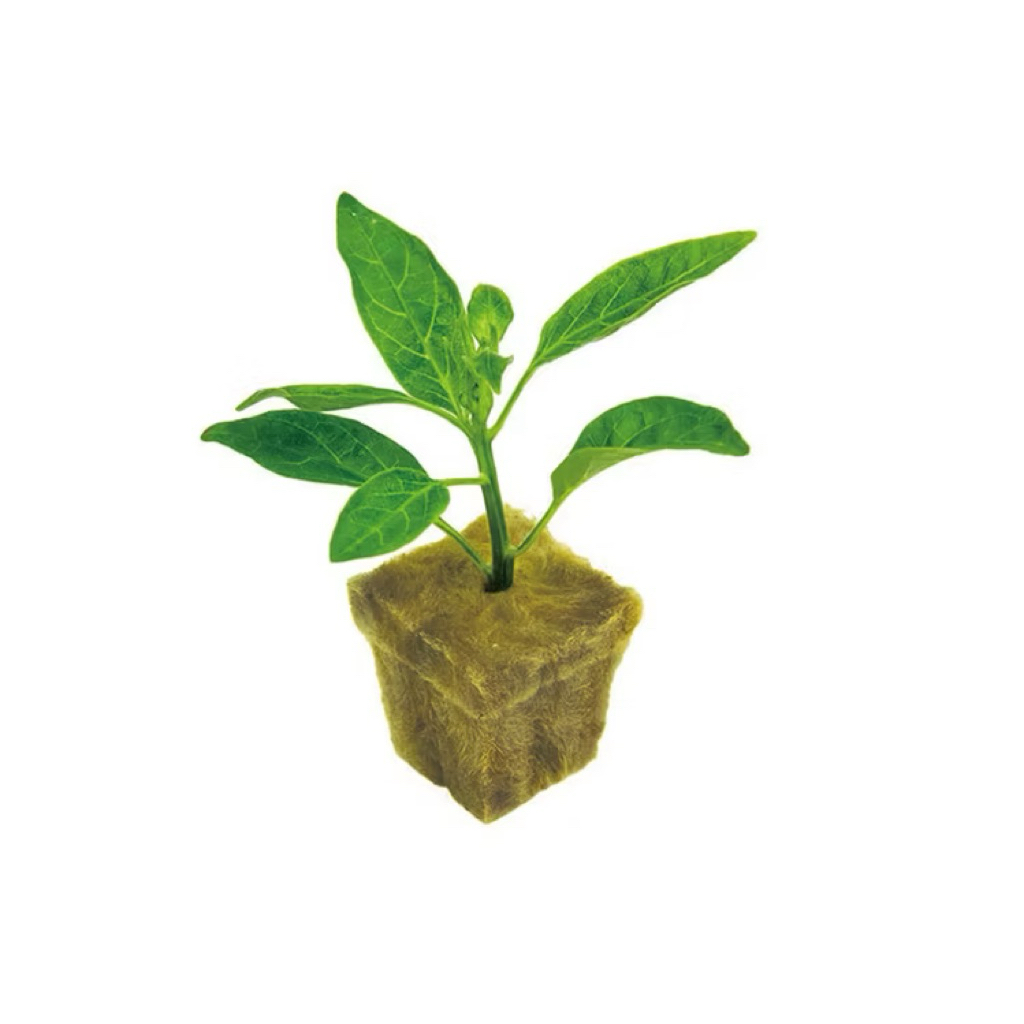 Media tanamanan hidroponik / Rockwool hidroponik