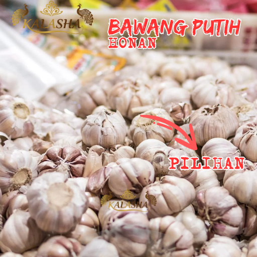 Bawang Putih Sinco / Bawang Putih Honan Sinco Bersih