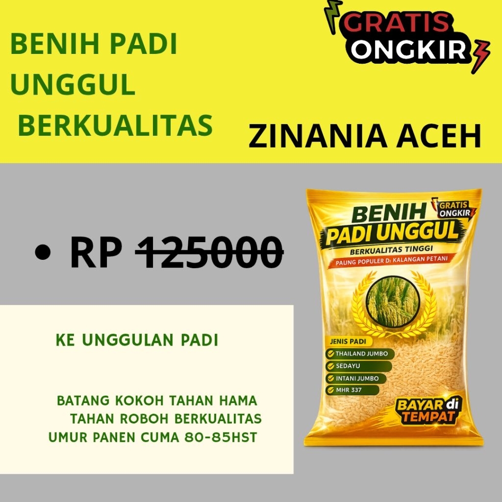 BENIH PADI UNGGUL ZINANIA ACEH KEMASAN 5KG