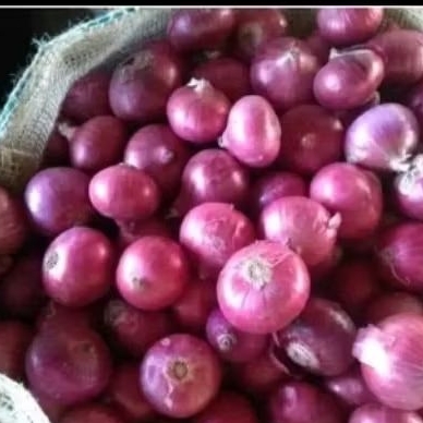 Bawang Merah India 1kg - Fresh, Besar, Tambah Rasa Masakan