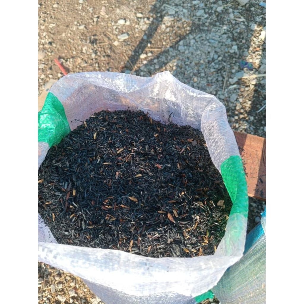 Sekam Padi Bakar