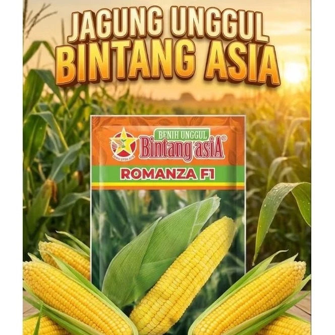 PROMO SPESIAL  ROMANZA F1 - JAGUNG MANIS BINTANG ASIA