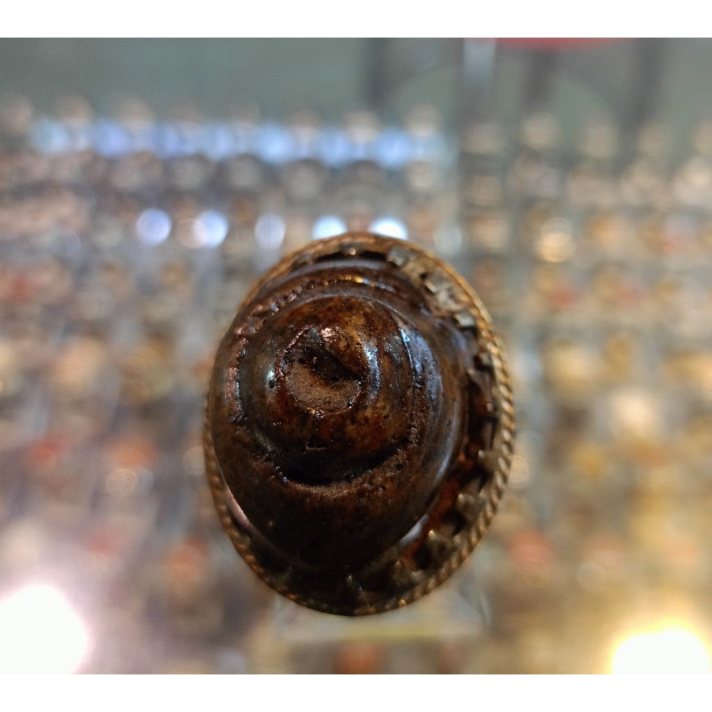 Cincin Fosil keong/kool buntet(Natural)