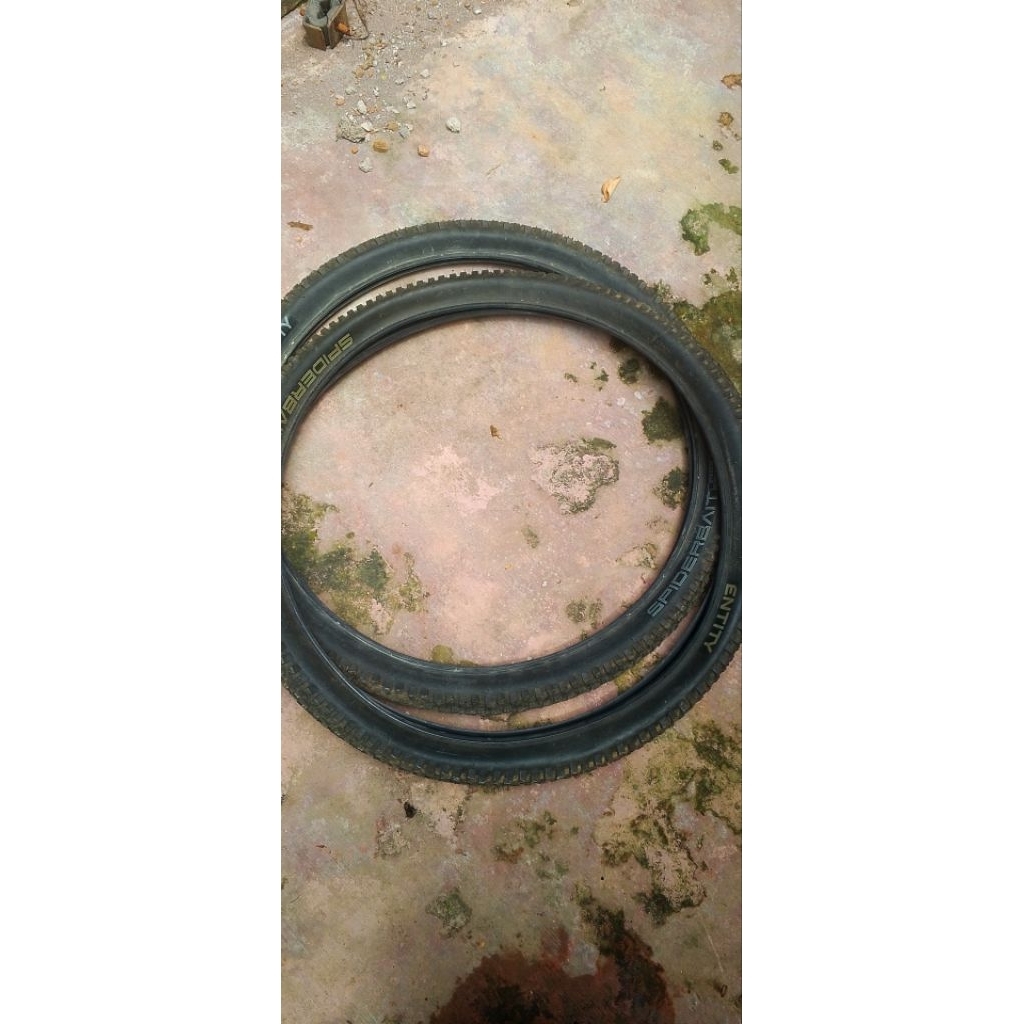 ban entity 27.5 x 2.25