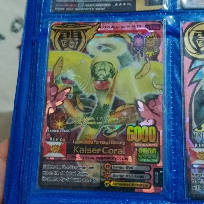 kartu animal kaiser kaiser coral evo 8 ultra rare original