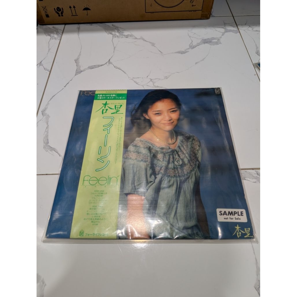 Piringan Hitam Vinyl ANRI - FEELIN - 12 Inch