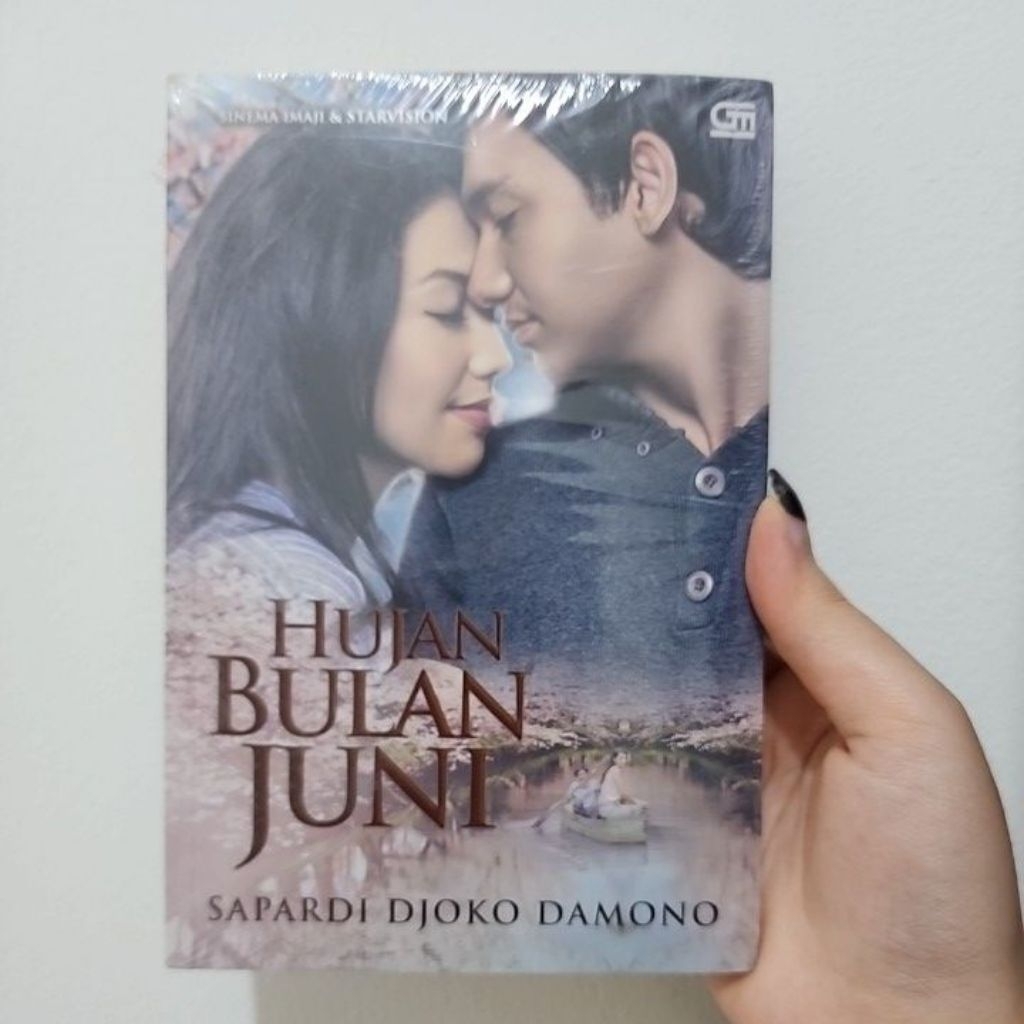 Hujan bulan juni novel