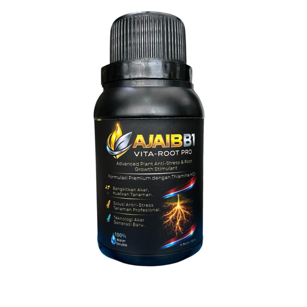 vitamin AJAIB B1 untuk tanaman stres pasca kirim dan perawatan tanaman untuk anggrek homalomena phil