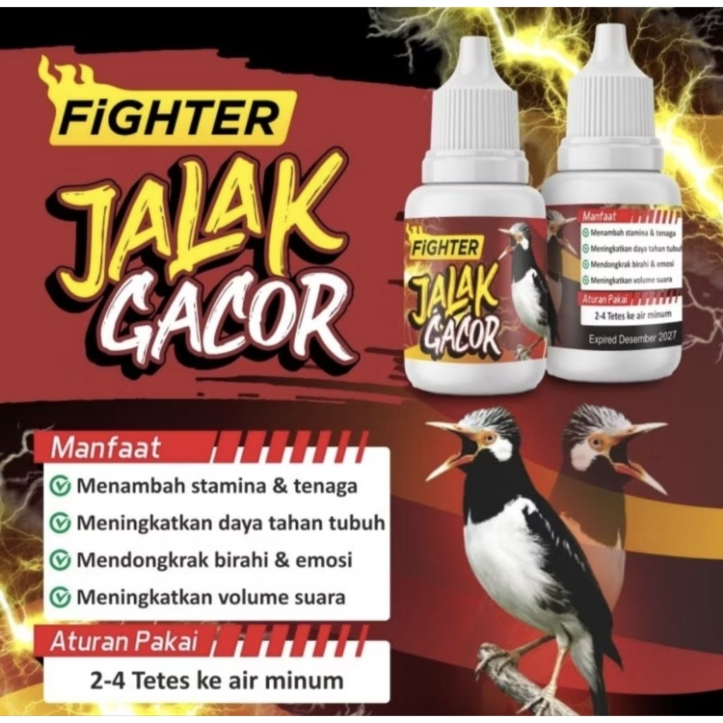 FIGHTER Jalak Gacor Vitamin burung jalak macet metabolis burung dosis tinggi voer jalak jangkrik