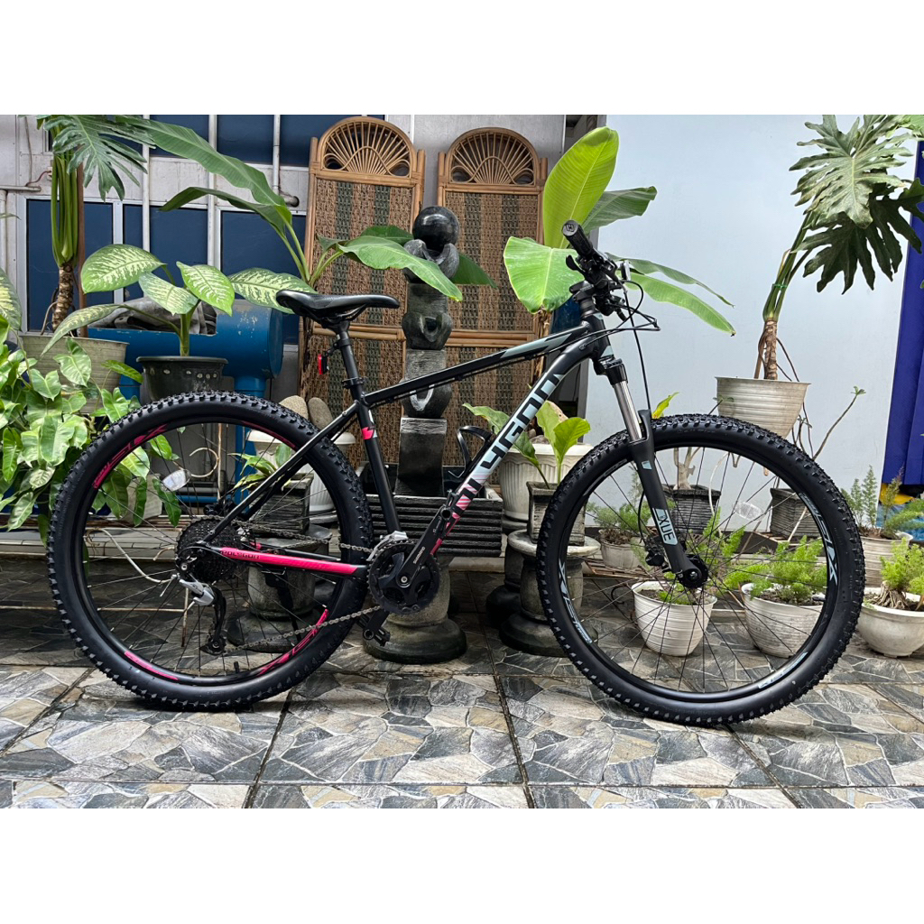 POLYGON PREMIER 5 2022