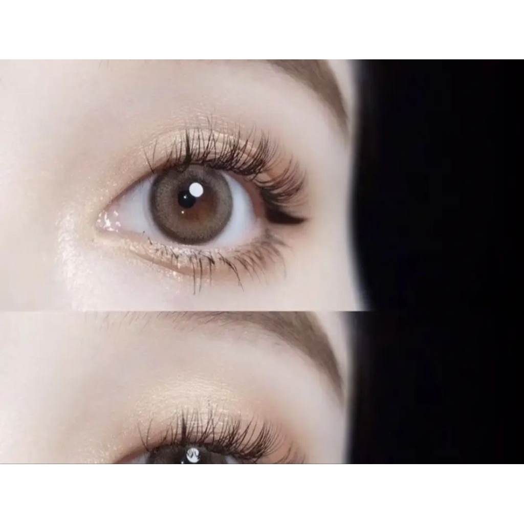 (free case) SOFLENS RECIPE CHOCO BROWN / bisa minus