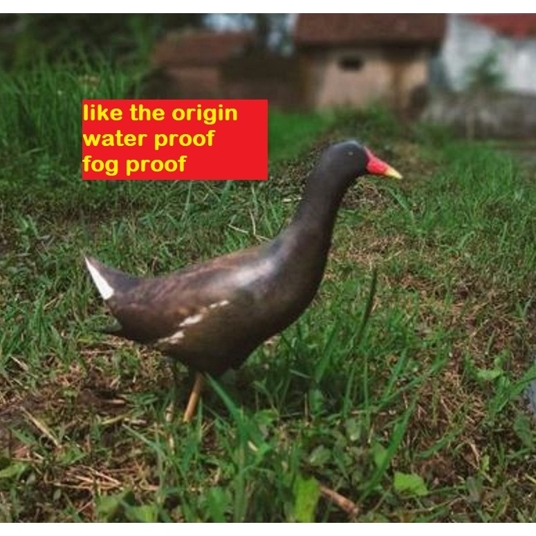 cod JONTROT MANDAR BATU PATUNG BURUNG RAWA PELAN CACABEAN MANDAR PELUNG JENGGER MERAH rewox swamp he