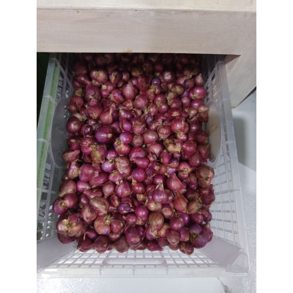 Bawang Merah Lokal