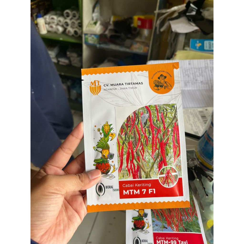BENIH CABAI BIBIT CABE KERITING MTM 7 F1 ISI 10 gram