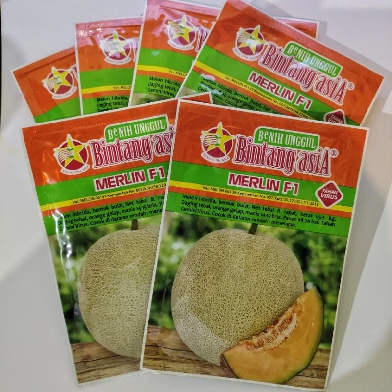 Benih Melon Jumbo F1 - Daging Tebal, Manis, Tahan Virus warna kuning HASIL MELIMPAH