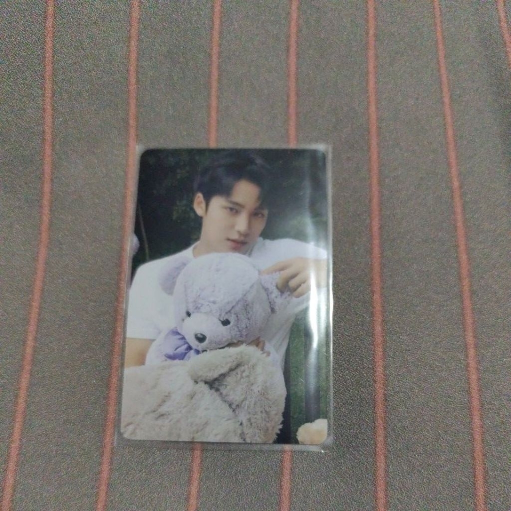 Photocard Mingyu Seventeen Dicon 101 Bear