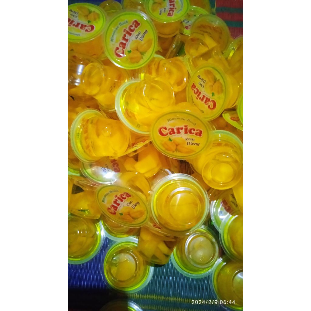 minuman carica/carica dieng/minuman buah carica/minuman/minuman dingin/carica