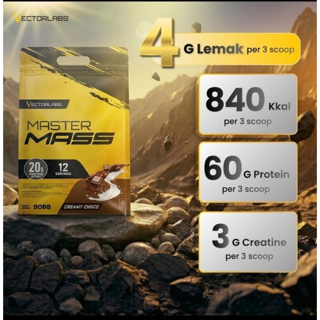 VECTORLABS MASTER MASS 2 LBS 900 GR 4 SERVING / GAINER MASTER MASS BOX 10 SACHET