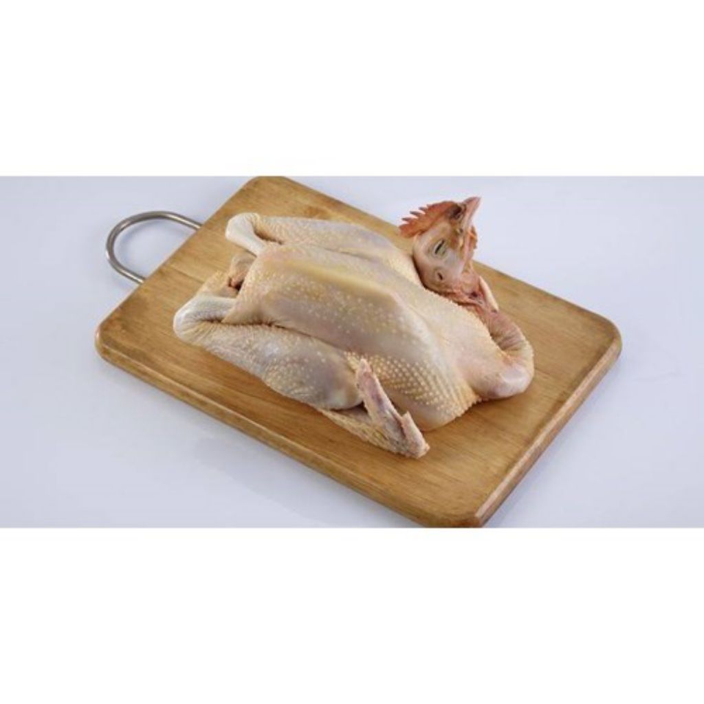 Ayam Kampung Segar 1 Ekor - Fresh Chicken