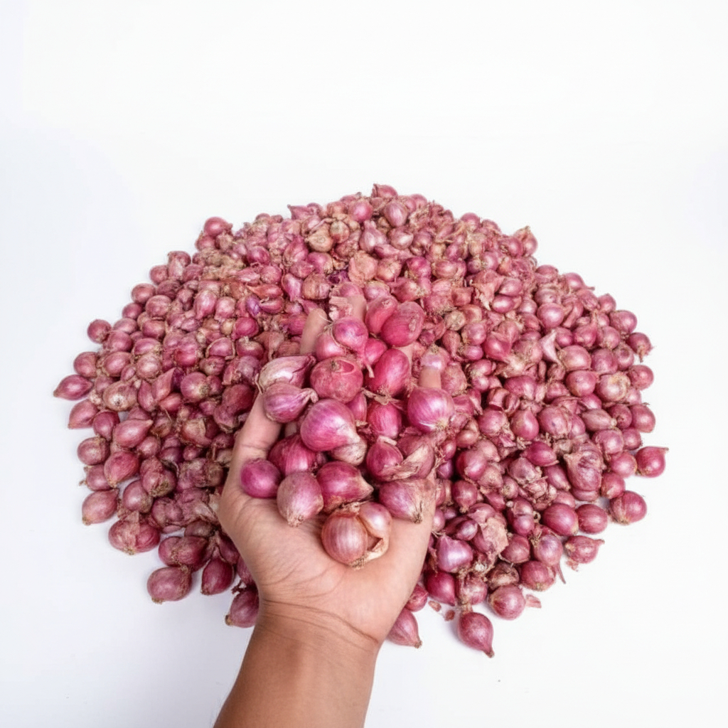 BAWANG MERAH LOKAL BREBES KERING, FRESH LANGSUNG DARI PETANI