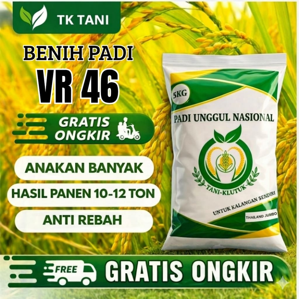BENIH PADI UNGGUL BERKUALITAS VR 46 100% ORIGINAL