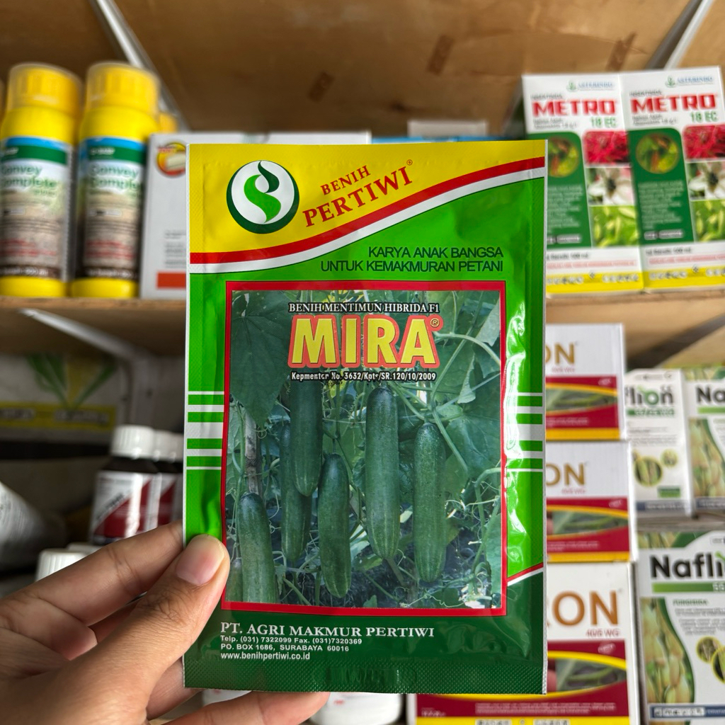 Benih Timun Mira F1 Pertiwi | Bibit Mentimun Hibrida Unggul Produktif Buah Panjang Renyah