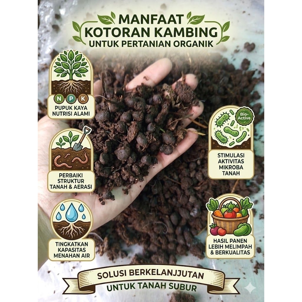 Kohe Kambing 1 kg Kering