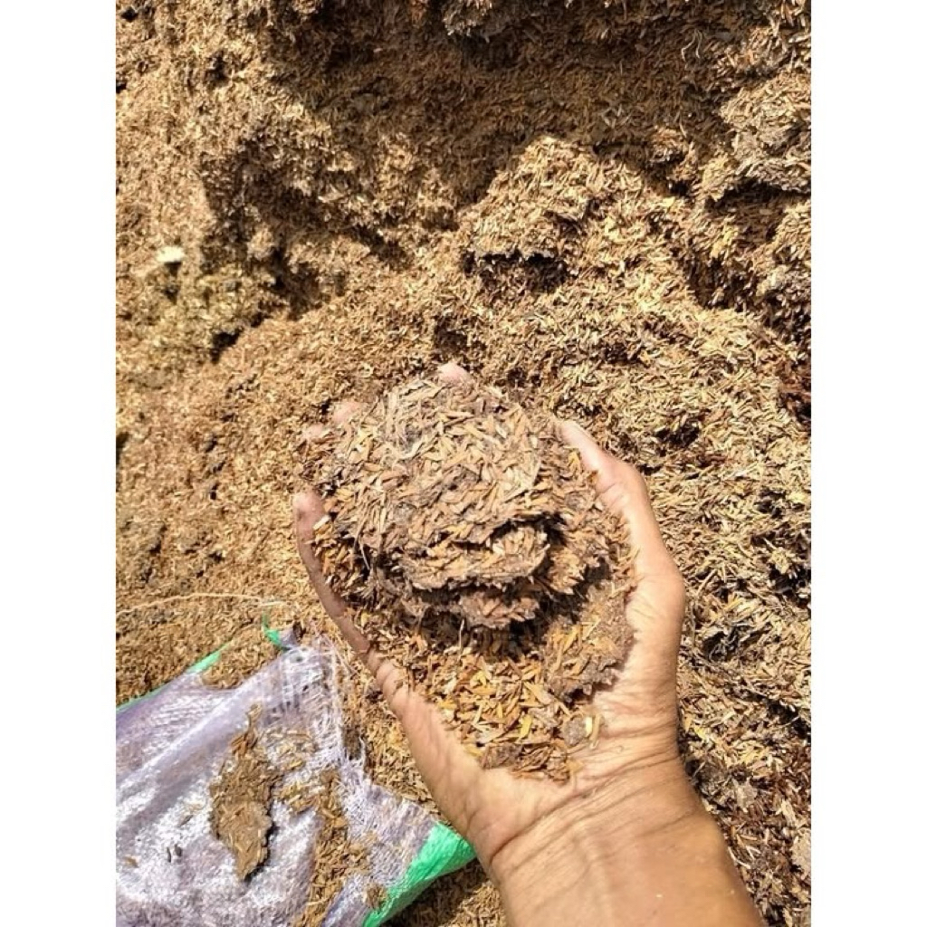 dedak padi kasar 1kg cocok untuk entog / bebek