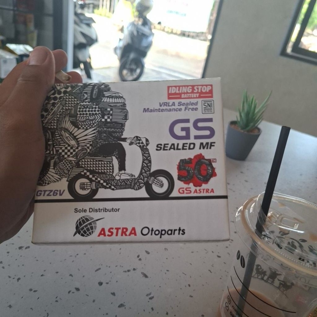 aki gs gtz6v