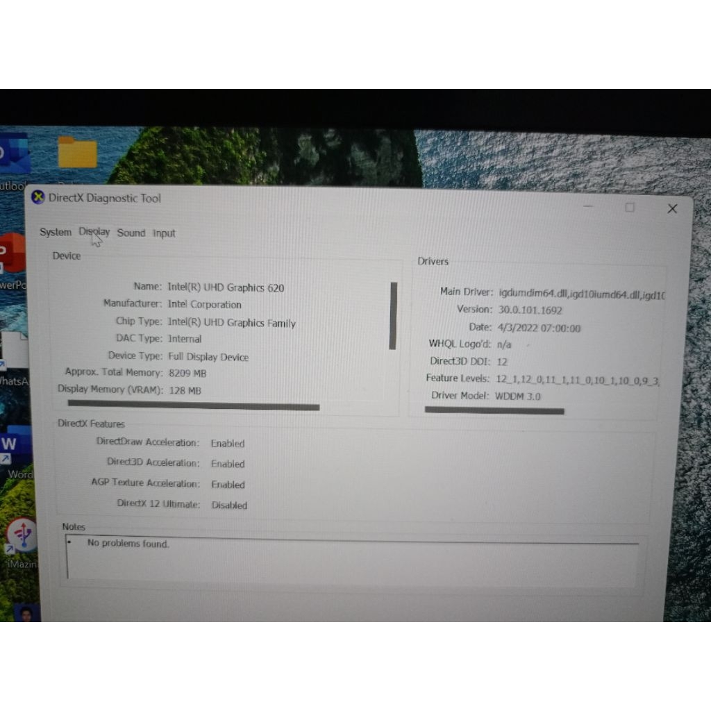 Thinkpad X390 Ram 16 GB