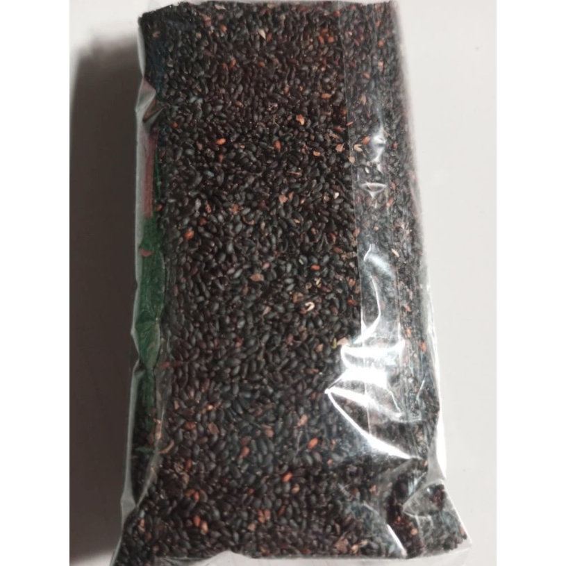 benih bibit sayur kemangi 1KG
