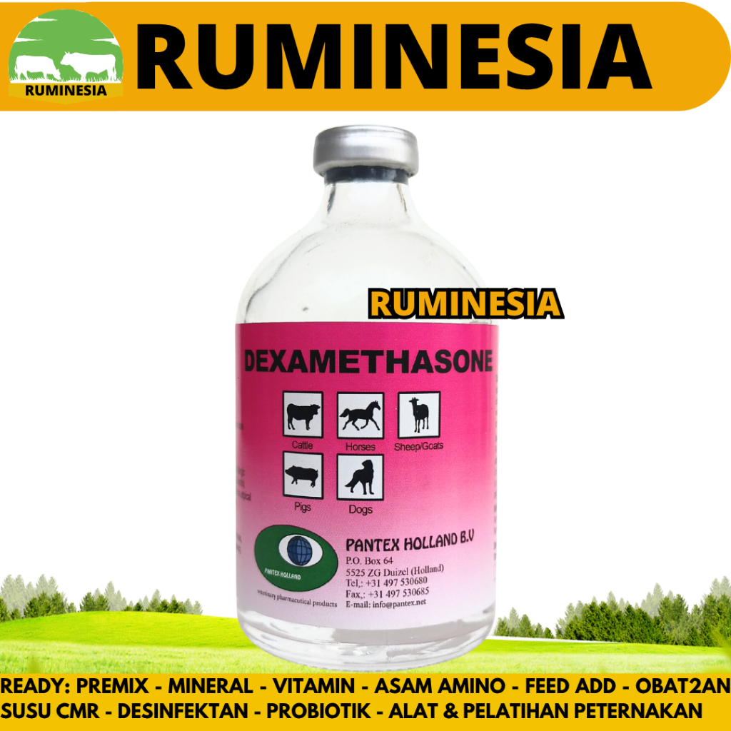 PANTEX DEXAMETHASONE 100 ML - Obat Hewan Anti Radang Anti Inflamasi Ternak Sapi Kambing Anjing