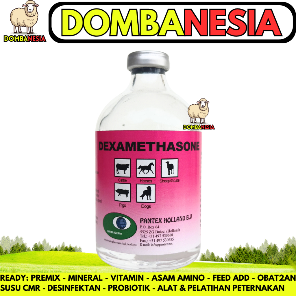 PANTEX DEXAMETHASONE 100 ML - Obat Hewan Anti Radang Anti Inflamasi Ternak Sapi Kambing Anjing