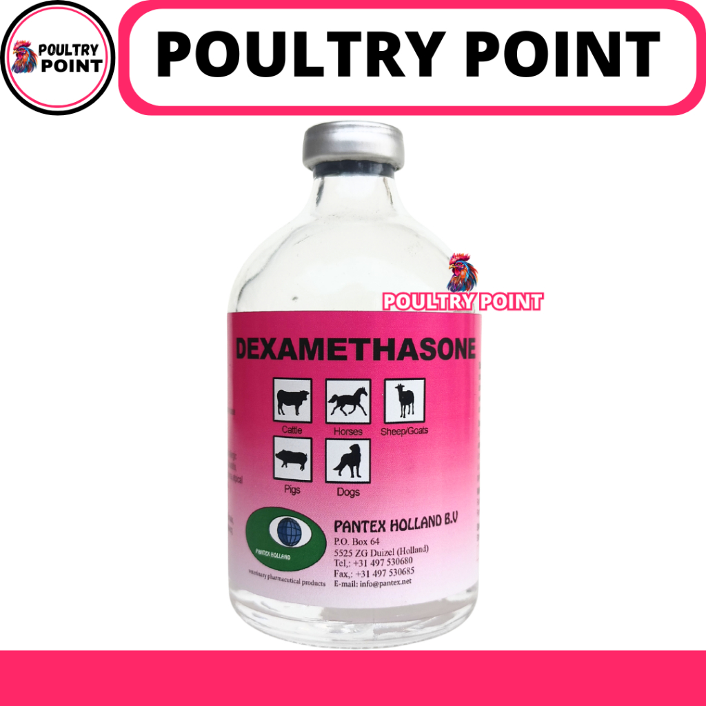 PANTEX DEXAMETHASONE 100 ML - Obat Hewan Anti Radang Anti Inflamasi Ternak Sapi Kambing Anjing