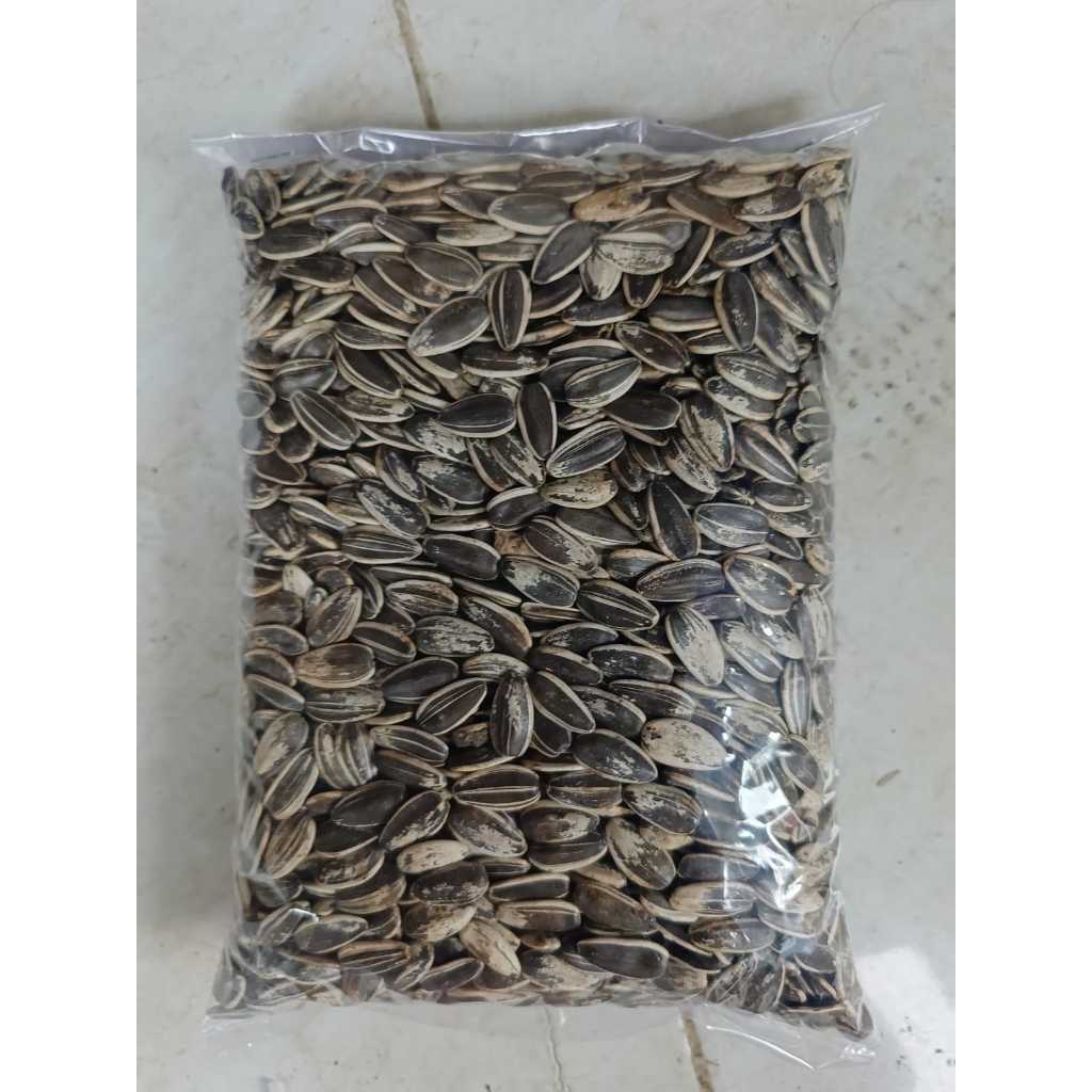 KUACI JUMBO SANGRAI 1KG BIJI KUACI JUMBO SANGRAI UNTUK PAKAN BURUNG PARROT MACAU LOVE BIRD FINCH FAL