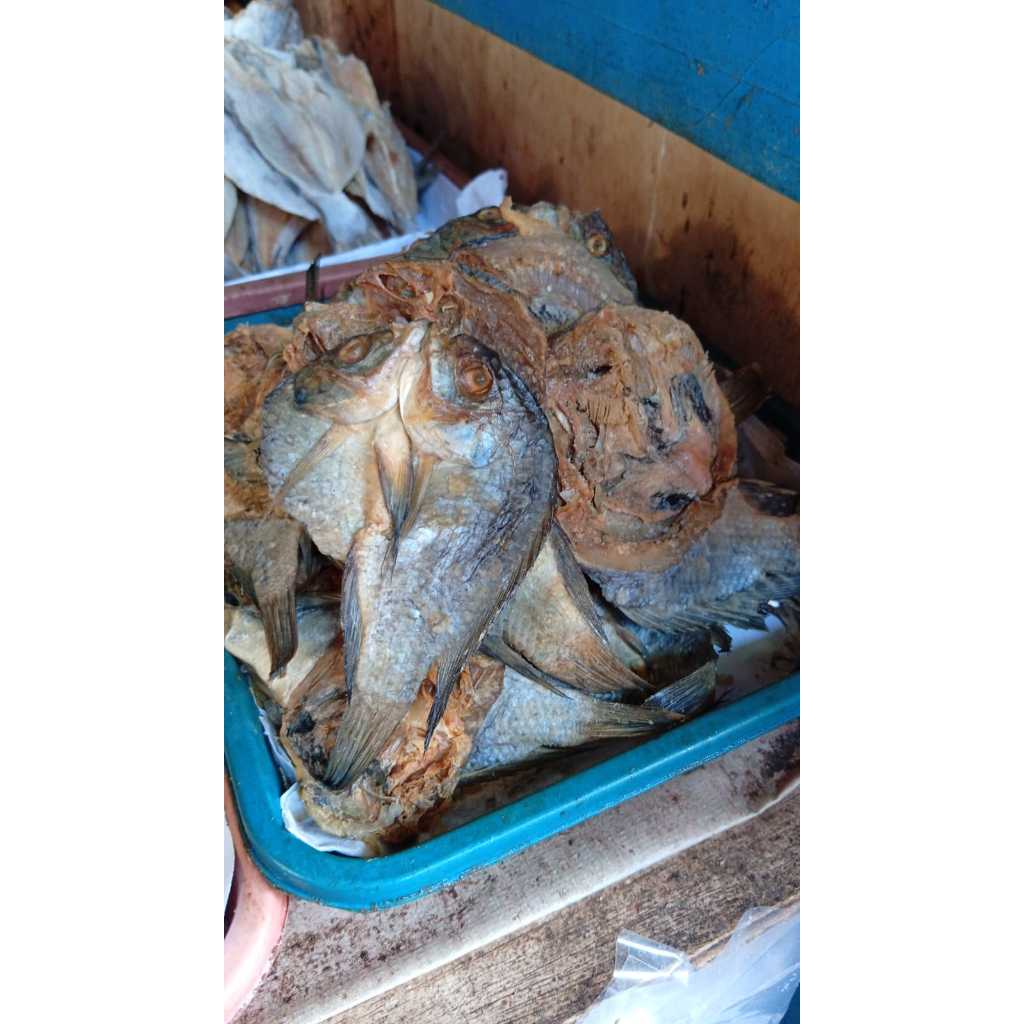 100gr ikan asin mujair