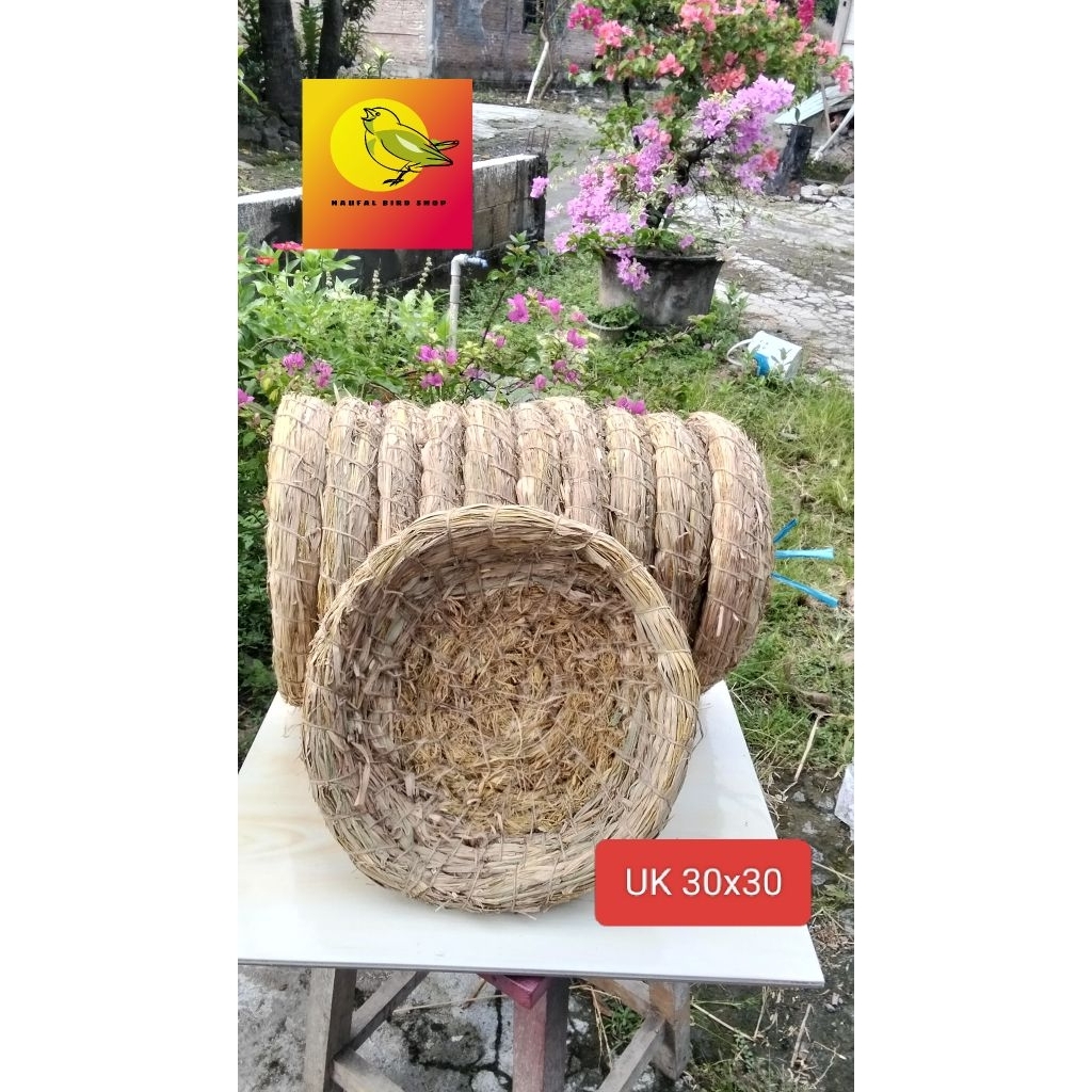 tarangan ayam tempat bertelur ayam