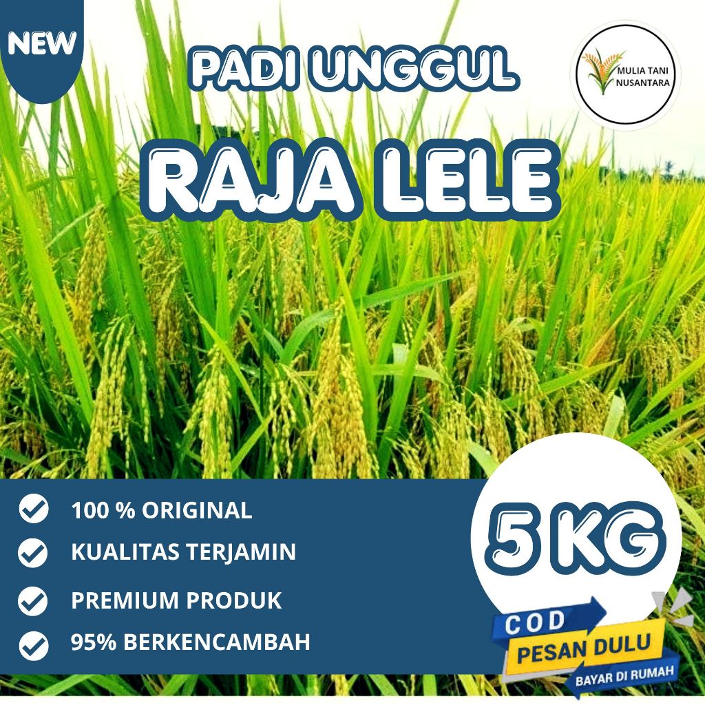 Benih Padi Unggul ROJOLELE SRINUK Super Kemasan 5Kg Kualitas Unggul