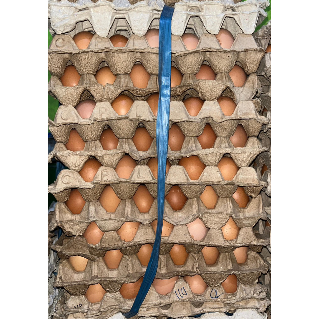 Telur ayam Negeri Telor 15 KG, Partai Telor Murah, Telor 1 Peti Fresh