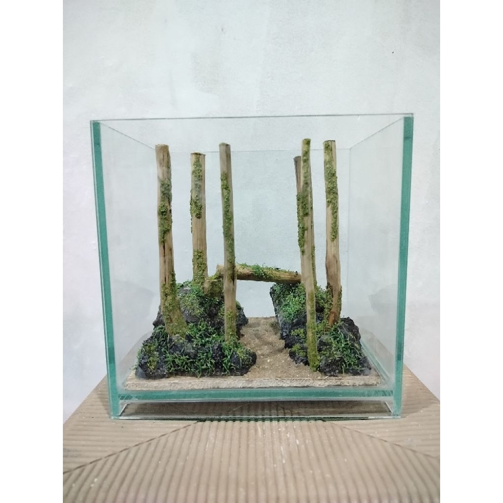 Aquascape jungle/Aquascape Hutan/Aquascape sintetis