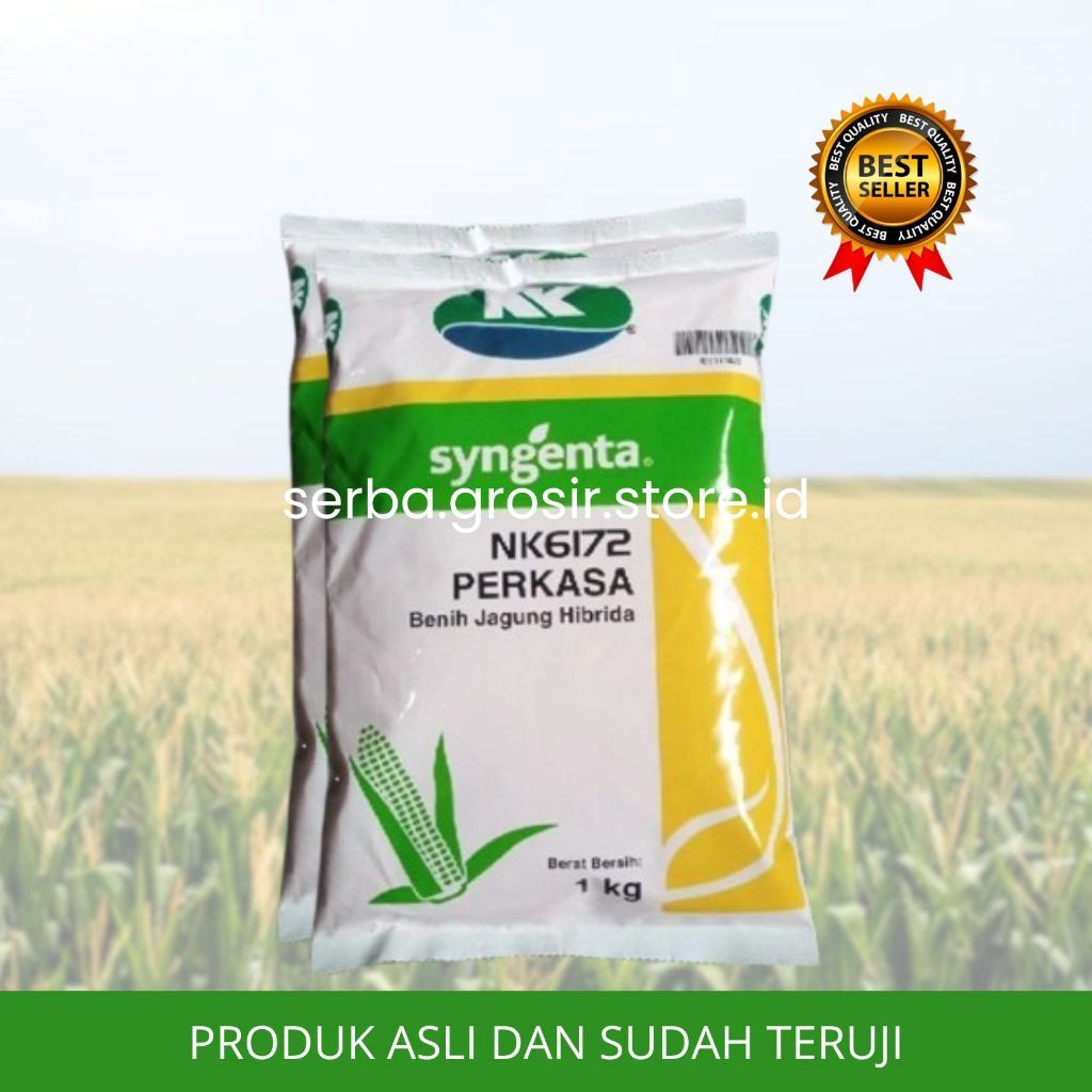 Benih JAGUNG HIBRIDA NK 6172 PERKASA 1KG #bibit jagung#jagung perkasa#bibit nk perkasa