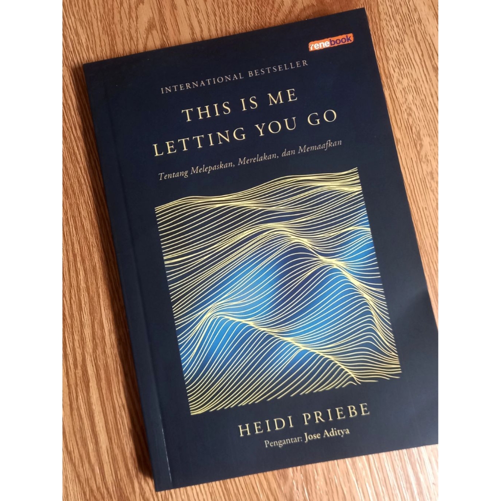 [PRELOVED] THIS IS ME LETTING YOU GO - Heidi Priebe