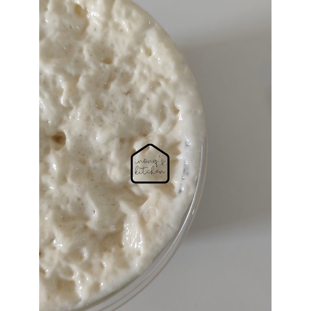 STARTER SOURDOUGH GLUTEN