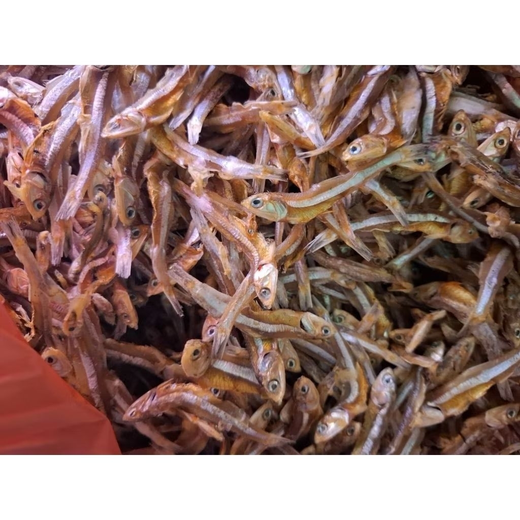 IKAN TERI JENGKI TERI TAWAR TIDAK ASIN